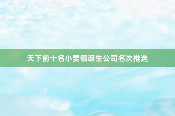 天下前十名小要领诞生公司名次推选