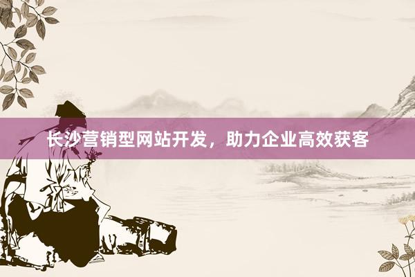 长沙营销型网站开发，助力企业高效获客