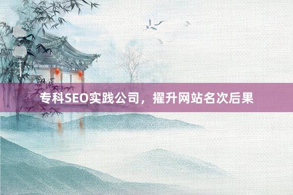 专科SEO实践公司，擢升网站名次后果