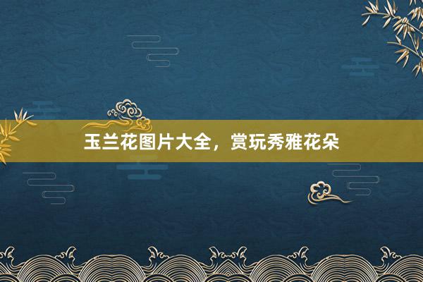 玉兰花图片大全，赏玩秀雅花朵